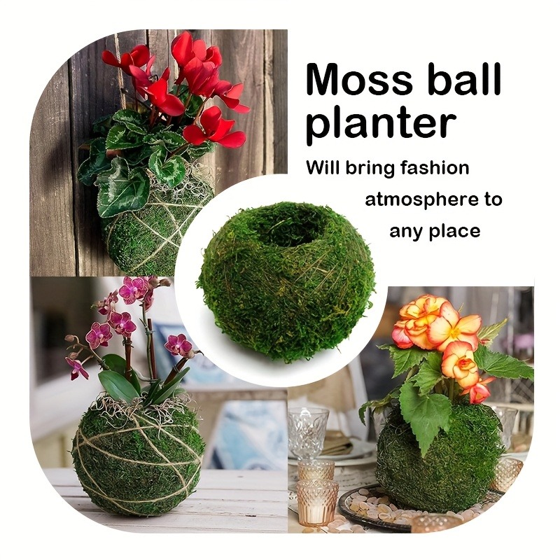 Artificial Moss Ball Planter,  - Sphagnum Moss Dry ulasan dan harga