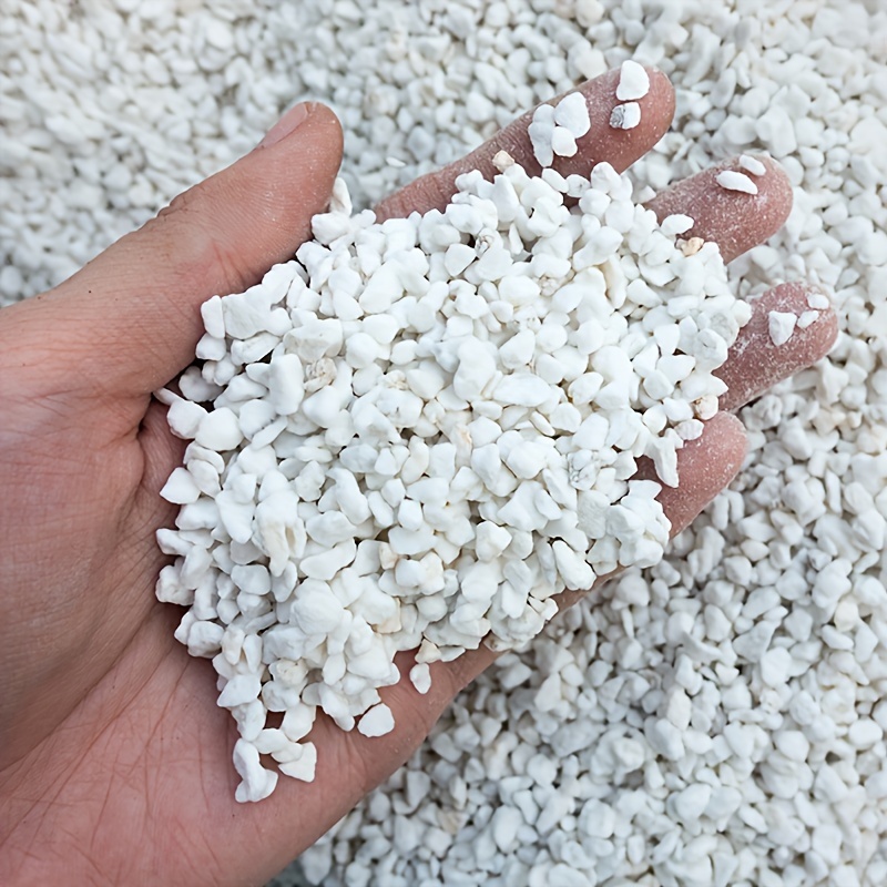 1 Bag 3-6 mm Gardening Perlite - Sphagnum Moss Dry ulasan dan harga