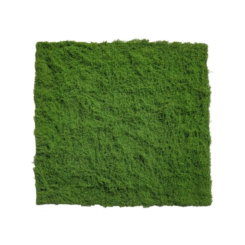 DIY Artificial Grass Rug Durab - Sphagnum Moss Dry ulasan dan harga