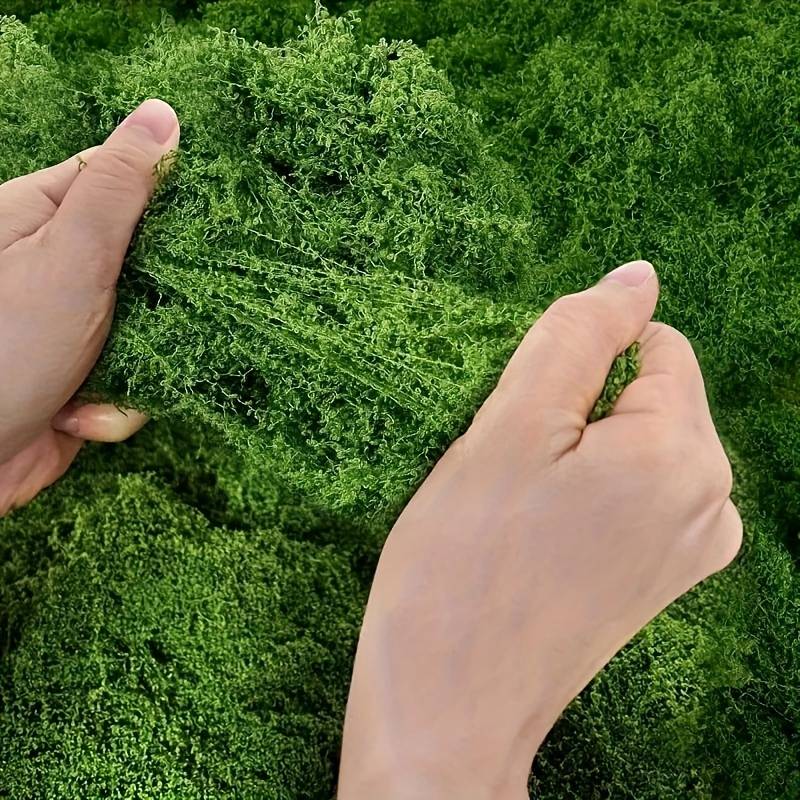 20' X 20' Faux Moss Mat for Pl - Sphagnum Moss Dry ulasan dan harga