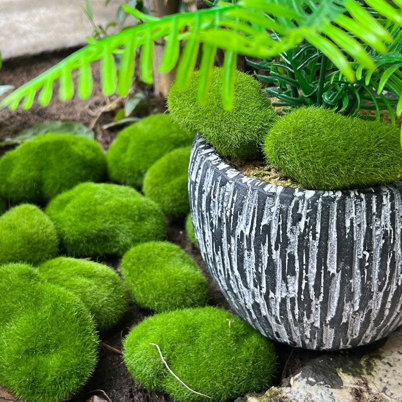 100/5PCS Artificial Moss Rock  - Sphagnum Moss Dry ulasan dan harga