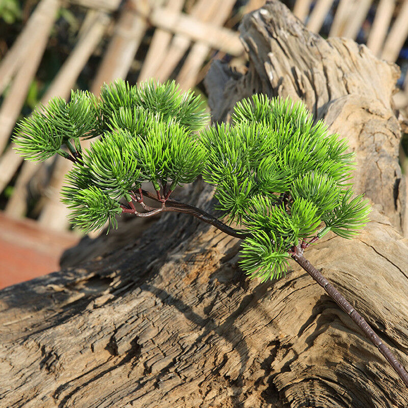 42cm Artificial Plant Pine Bra - Sphagnum Moss Dry ulasan dan harga