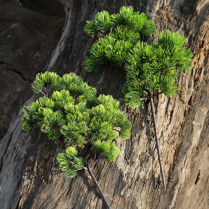 42cm Artificial Plant Pine Bra - Sphagnum Moss Dry ulasan dan harga