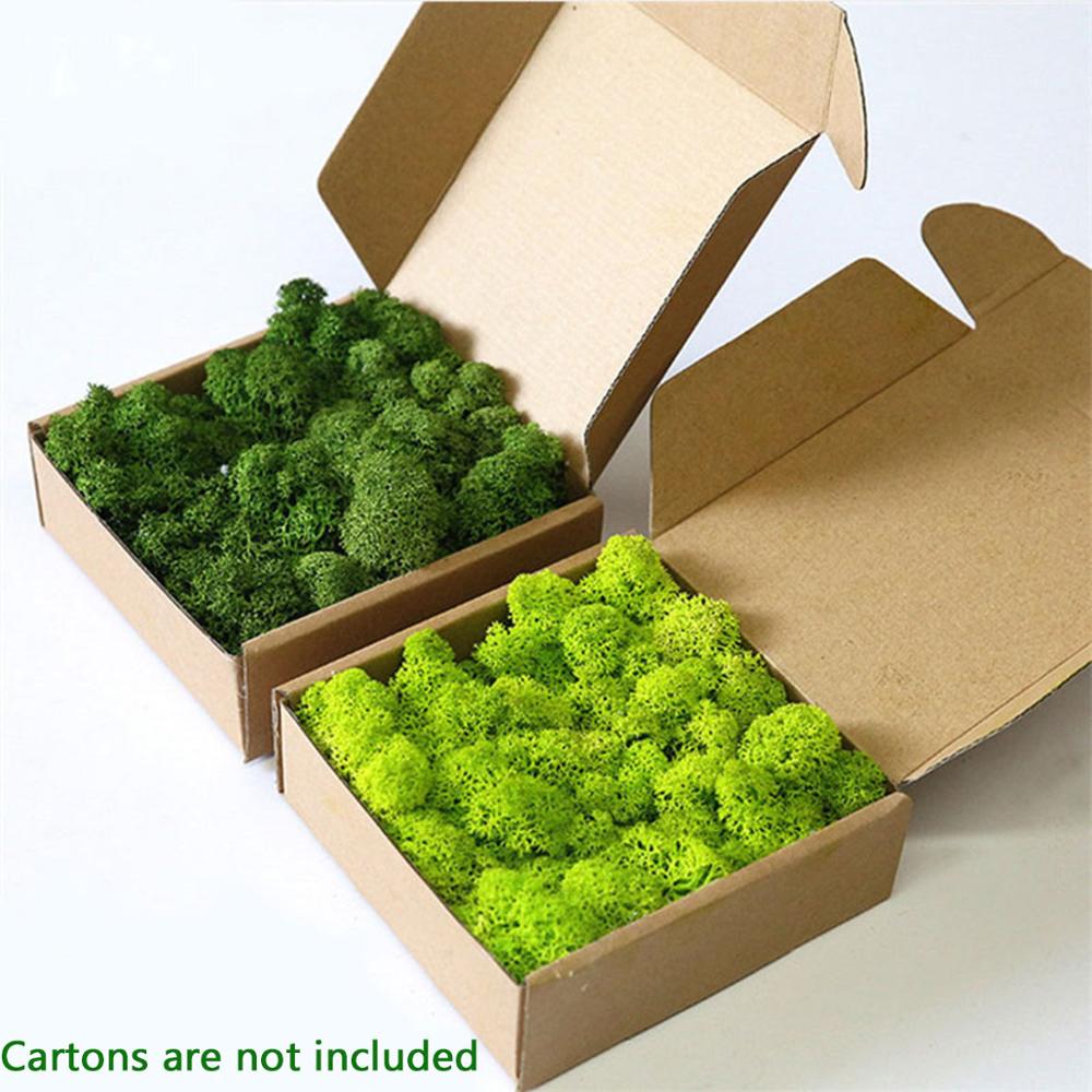 Artificial Plant Eternal Life  - Sphagnum Moss Dry ulasan dan harga