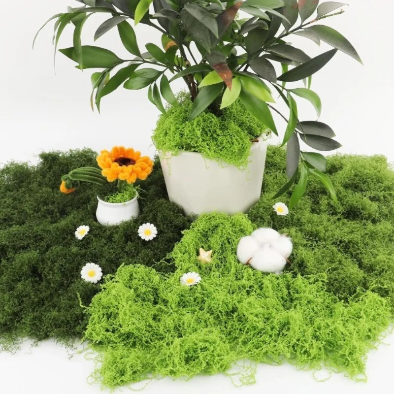 Artificial Green Moss Fake Mos - Sphagnum Moss Dry ulasan dan harga