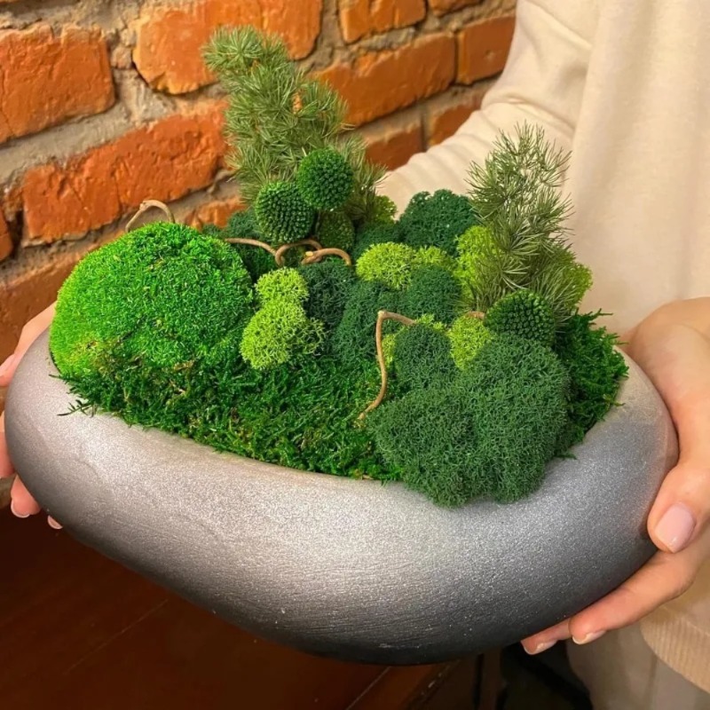 Artificial Green Moss Fake Mos - Sphagnum Moss Dry ulasan dan harga