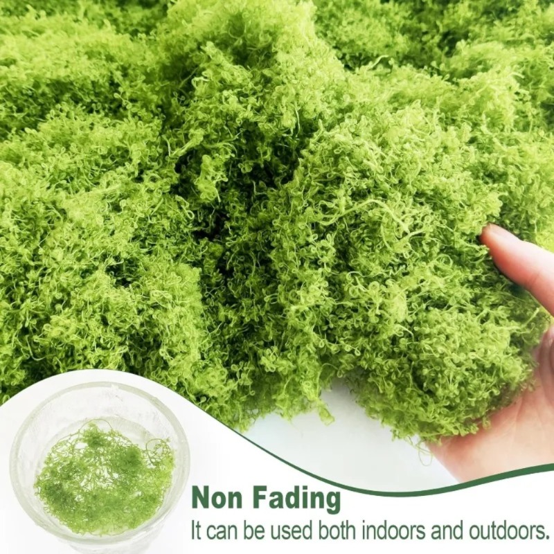 Artificial Green Moss Fake Mos - Sphagnum Moss Dry ulasan dan harga