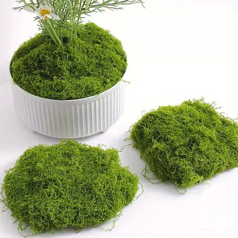 Green Fake Moss DIY Crafts Gra - Sphagnum Moss Dry ulasan dan harga