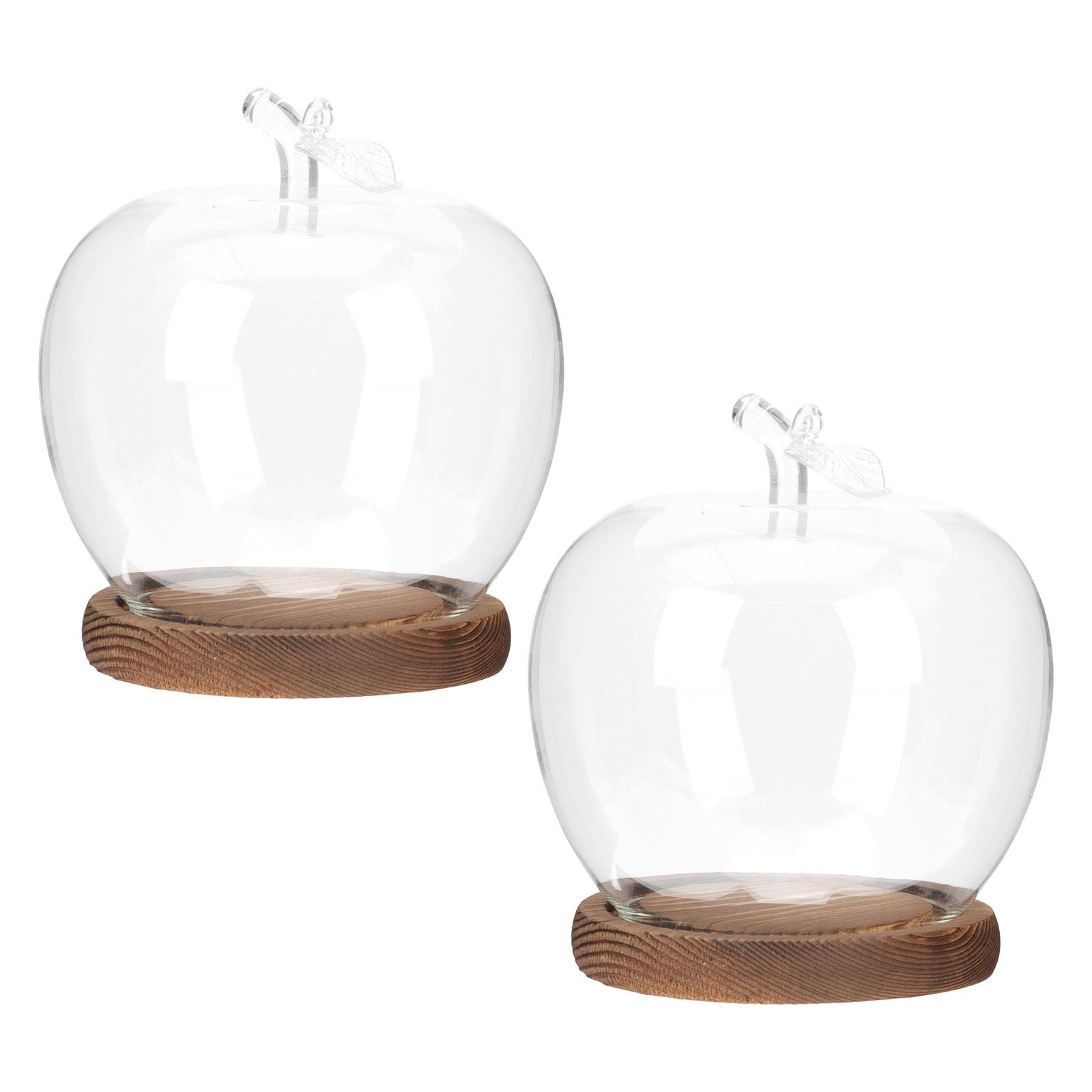 2Pcs Clear Glass Dome with Woo - Plastic Dome Clear ulasan dan harga