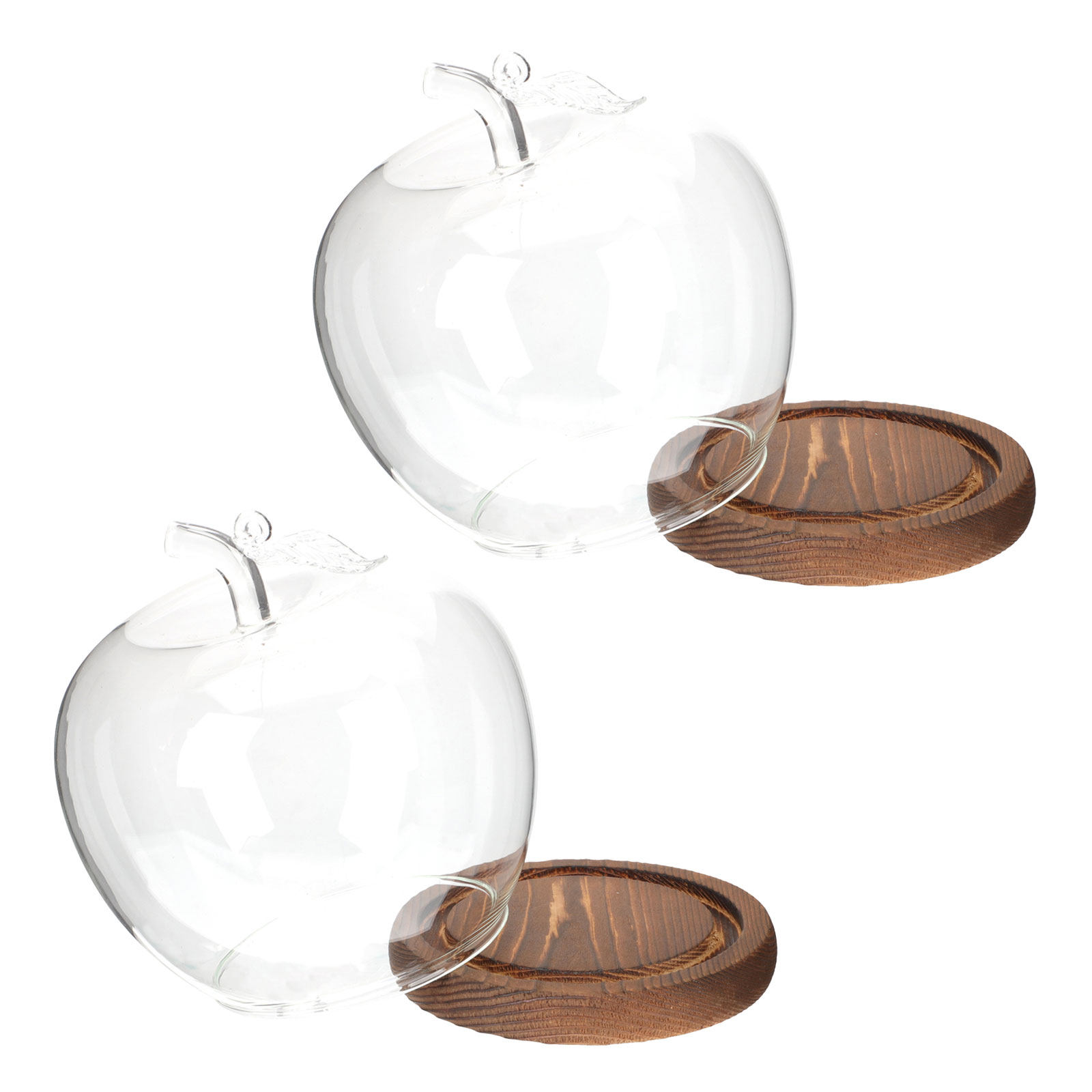 2Pcs Clear Glass Dome with Woo - Plastic Dome Clear ulasan dan harga