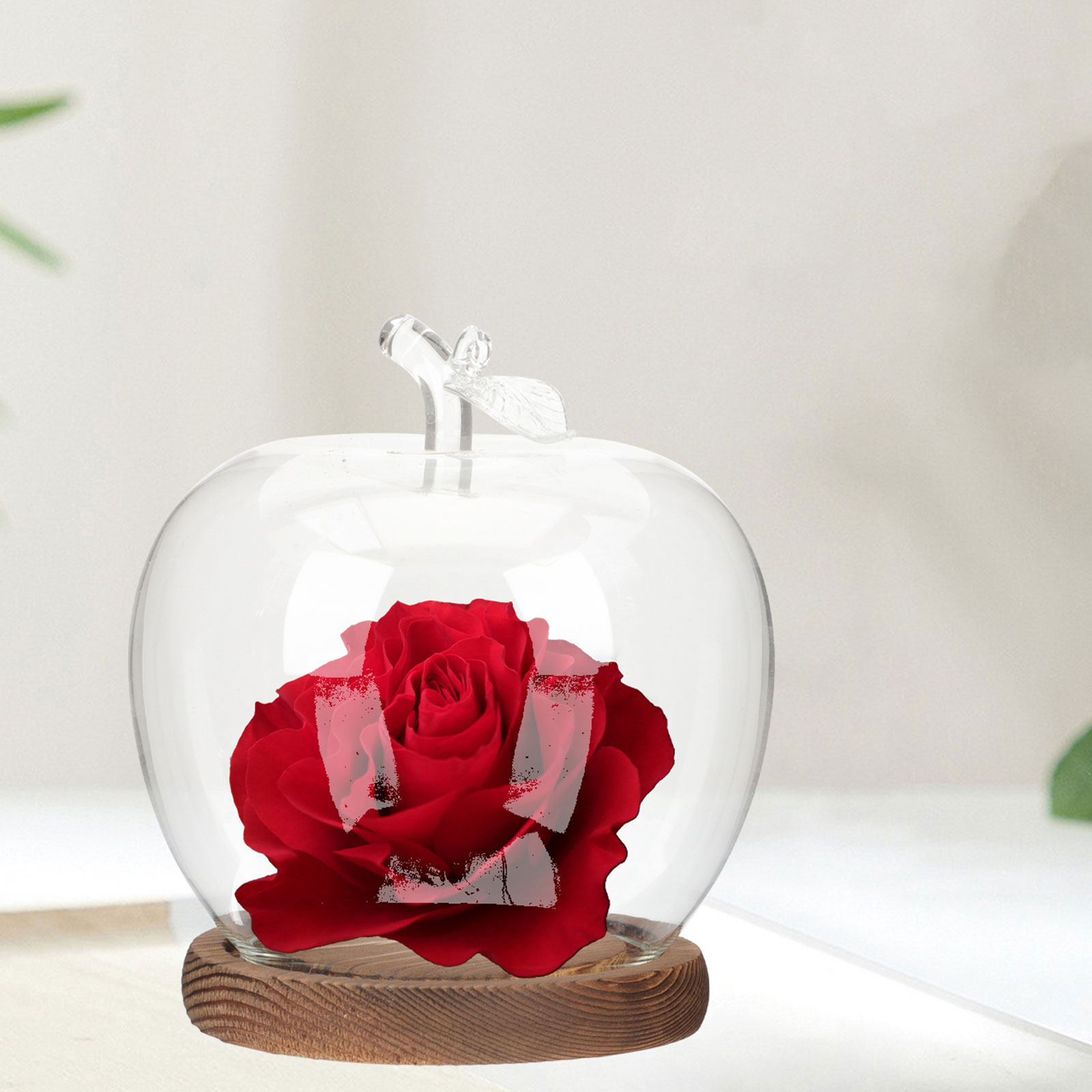 2Pcs Clear Glass Dome with Woo - Plastic Dome Clear ulasan dan harga